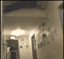 GIF动图在线视频,捕捉瞬间，展现动态魅力