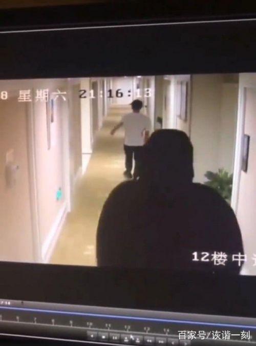 宾馆网友在线视频播放,一窥现代住宿体验的幕后真相