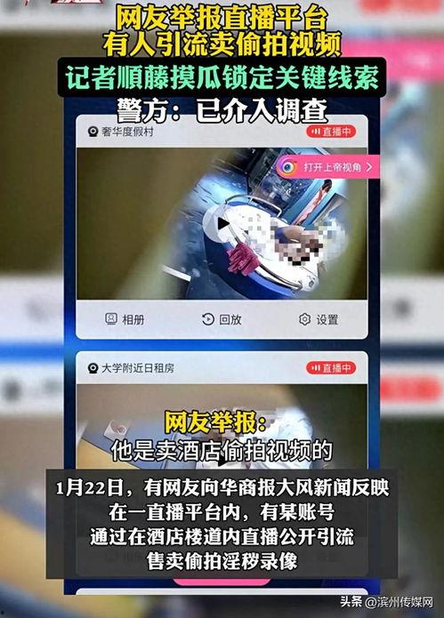 宾馆网友在线视频播放,一窥现代住宿体验的幕后真相