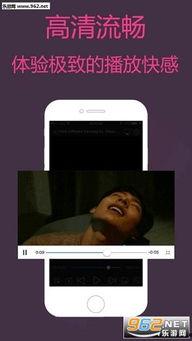 外国成人在线视频,全球成人娱乐产业的秘密与影响