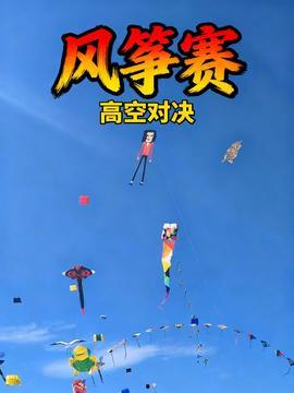 风筝48集在线视频,揭秘暗战风云，揭秘神秘组织背后的真相